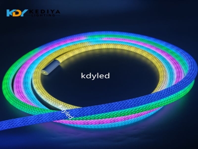 360 degree neon mesh strip light