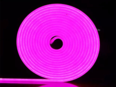 8*16mm 120LEDs/M LED Neon Light