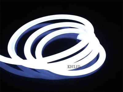 360 Degree LED Neon Strip Light